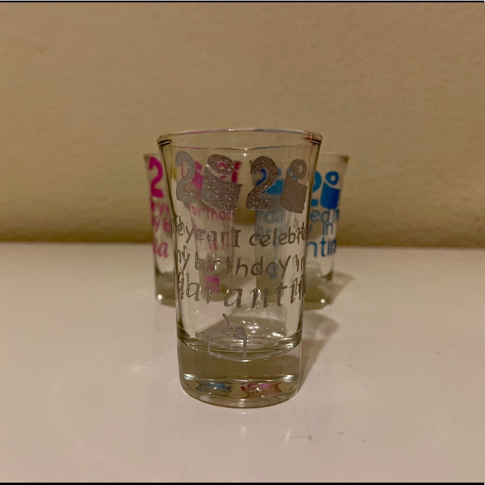 Silver quarantine birthday shot glass